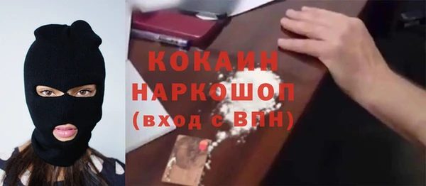 хмурый Алексин
