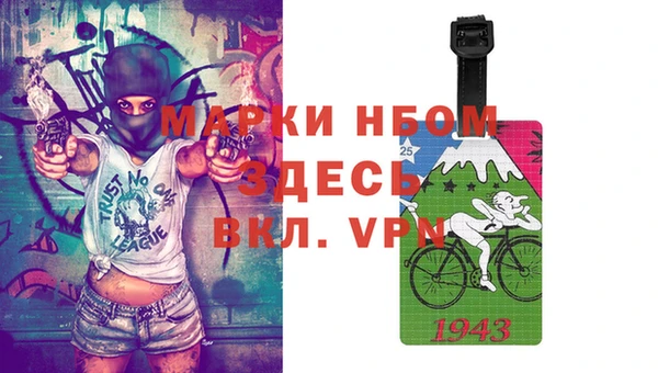 хмурый Алексин