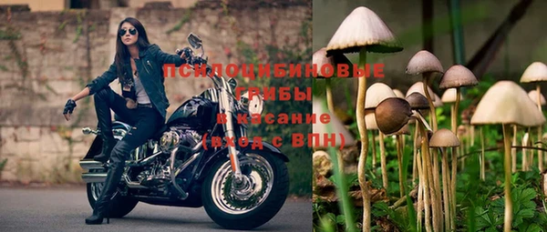 хмурый Алексин